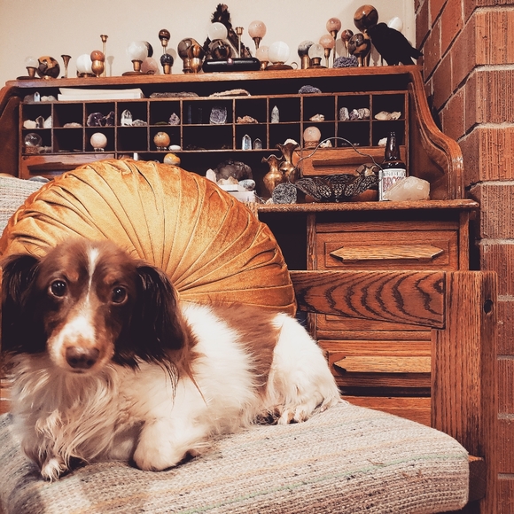 Meet your Posher, Kelly - Picture 6 of 12